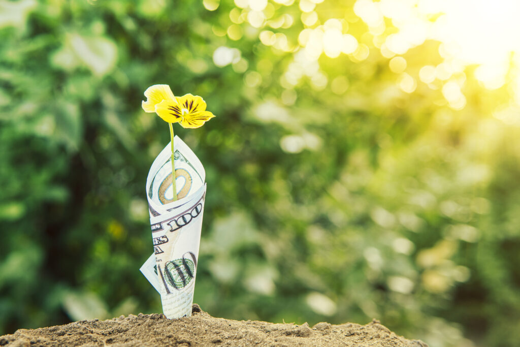 Unleash Gritty Sprout Power: Cultivate Resilience for Thriving Investment Growth